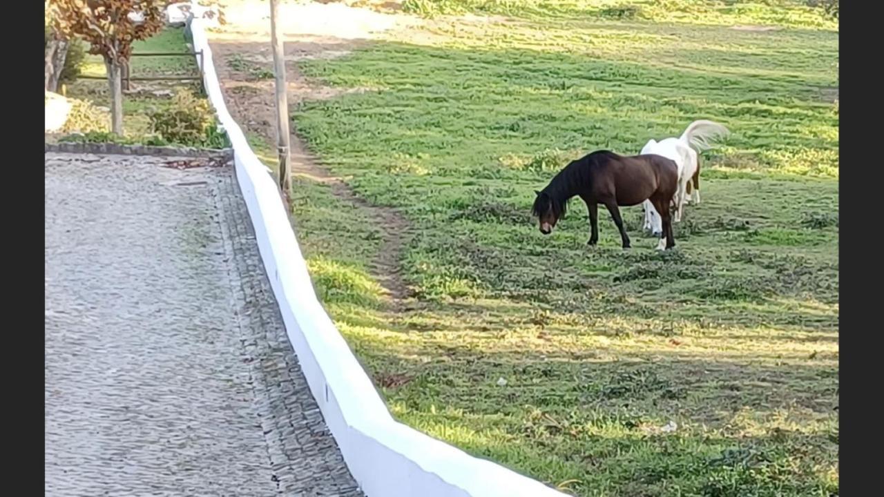 Gospodarstwo agroturystyczne Quinta De Sant'ana *